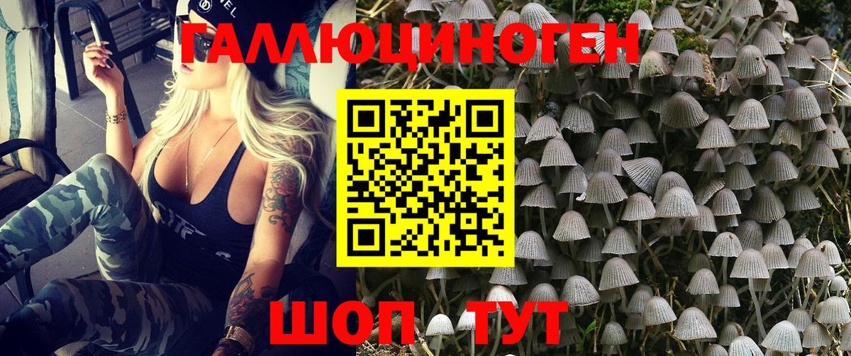 Галлюциногенные грибы GOLDEN TEACHER  Вход с VPN  Красный Сулин 