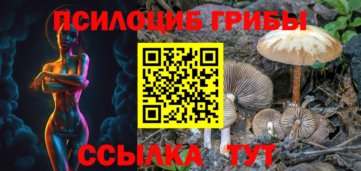 Галлюциногенные грибы MAGIC MUSHROOMS Красный Сулин